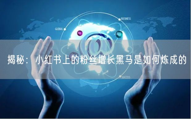 揭秘：小红书上的粉丝增长黑马是如何炼成的