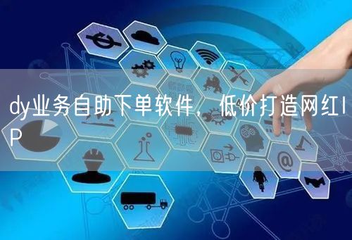 dy业务自助下单软件，低价打造网红IP