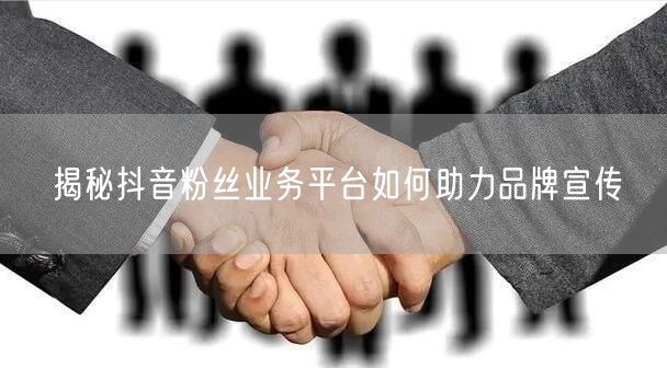 揭秘抖音粉丝业务平台如何助力品牌宣传