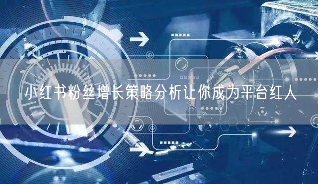 小红书粉丝增长策略分析让你成为平台红人