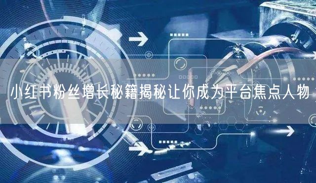 小红书粉丝增长秘籍揭秘让你成为平台焦点人物