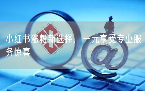小红书涨粉新选择，一元享受专业服务惊喜