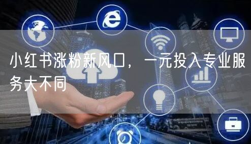 小红书涨粉新风口，一元投入专业服务大不同