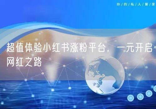 超值体验小红书涨粉平台，一元开启网红之路