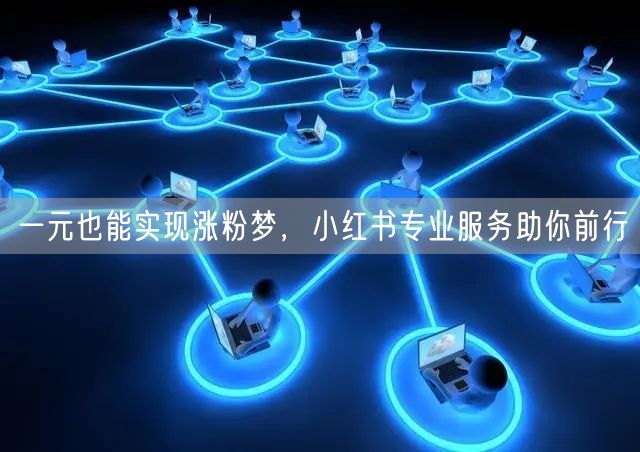 一元也能实现涨粉梦，小红书专业服务助你前行