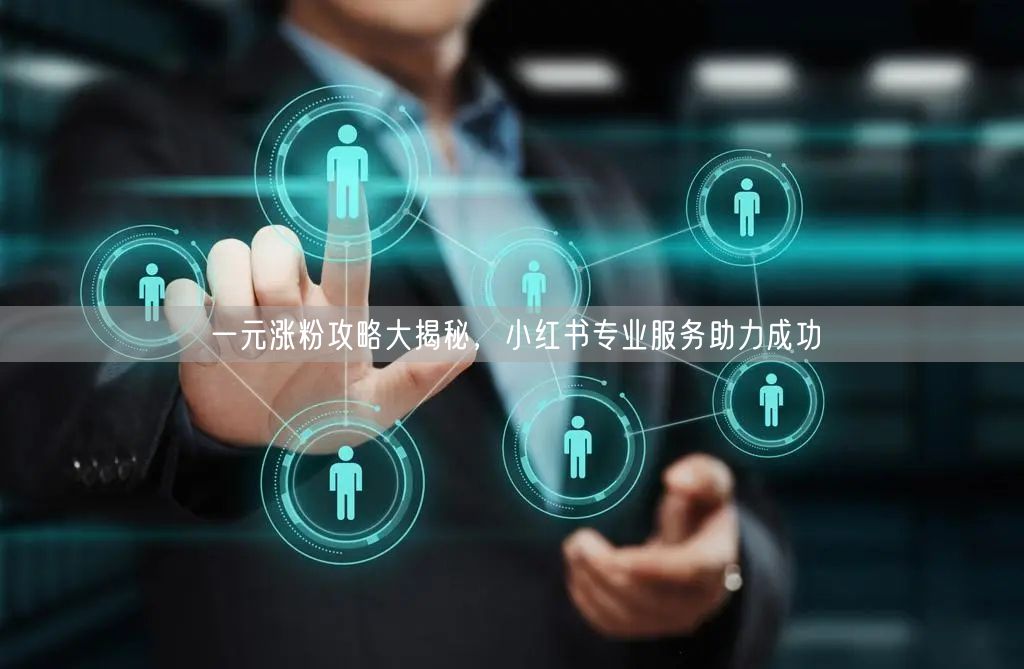 一元涨粉攻略大揭秘，小红书专业服务助力成功