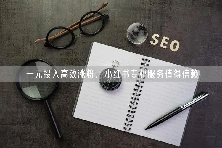 一元投入高效涨粉，小红书专业服务值得信赖