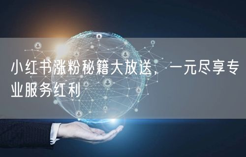 小红书涨粉秘籍大放送，一元尽享专业服务红利