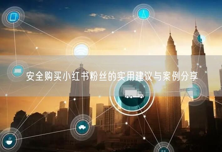 安全购买小红书粉丝的实用建议与案例分享