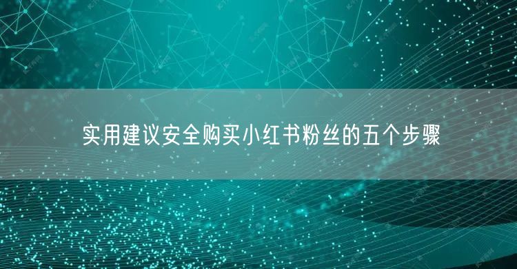 实用建议安全购买小红书粉丝的五个步骤