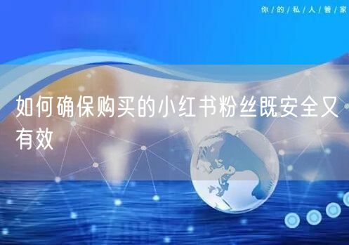 如何确保购买的小红书粉丝既安全又有效
