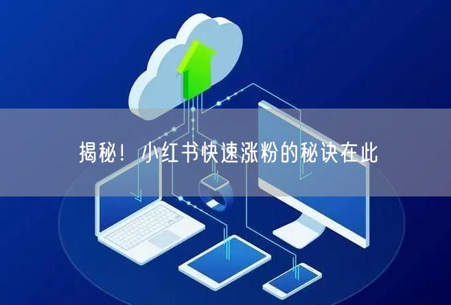 揭秘！小红书快速涨粉的秘诀在此