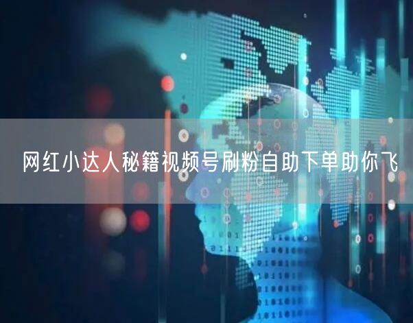 网红小达人秘籍视频号刷粉自助下单助你飞