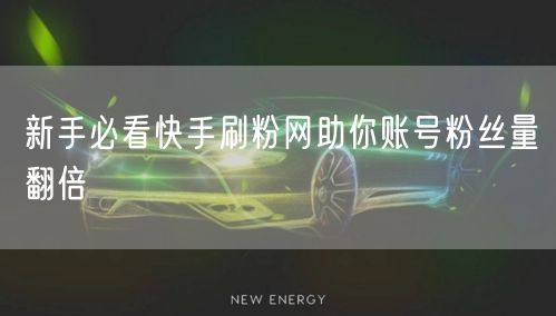 新手必看快手刷粉网助你账号粉丝量翻倍